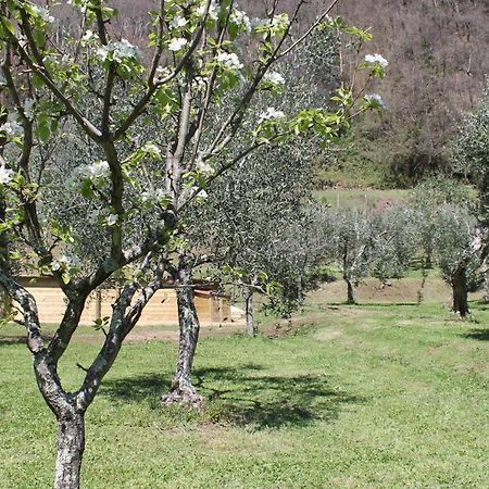 Shaleo Holiday Home Marliana Exterior photo